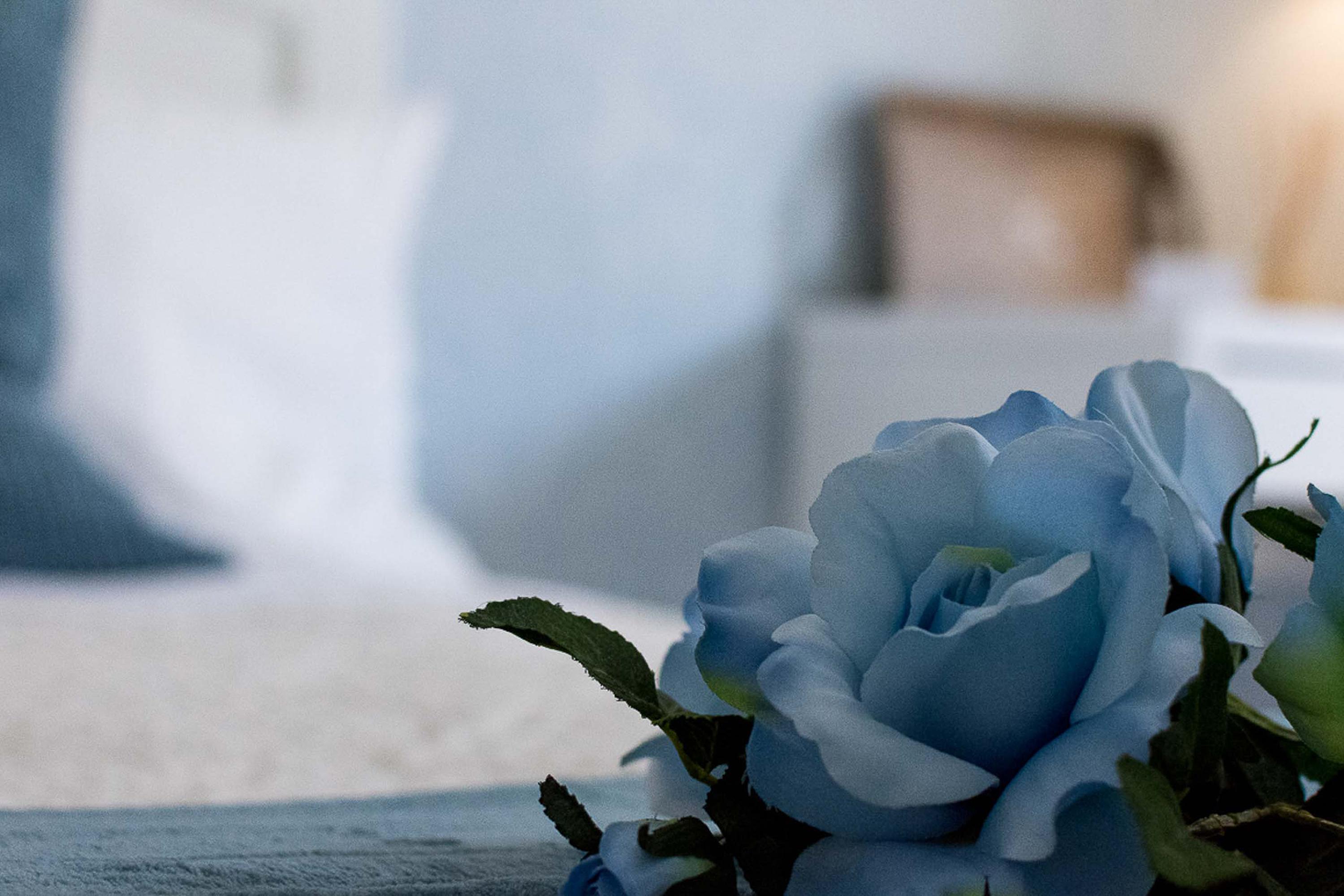 フィウミチーノ A Casa Di Titty Bed & Breakfast エクステリア 写真