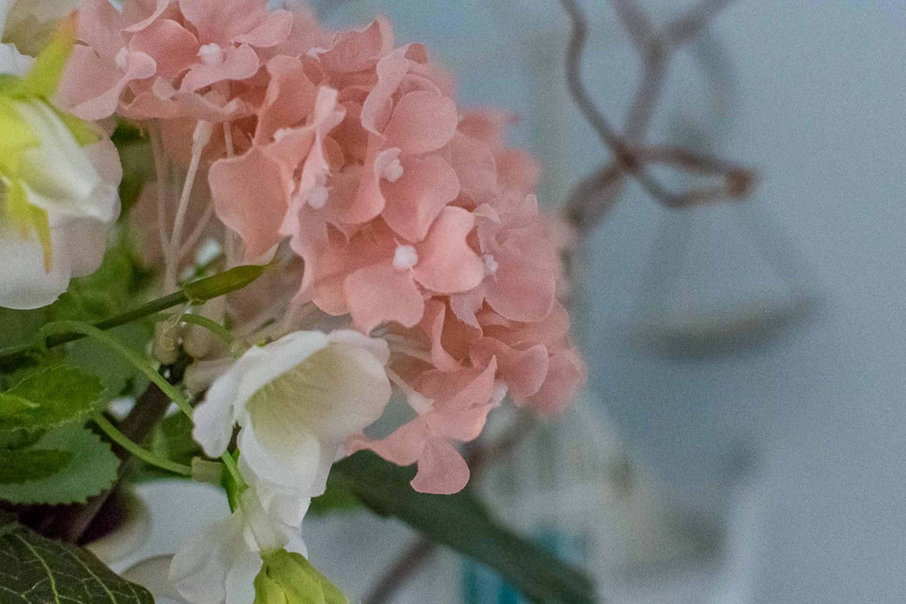 フィウミチーノ A Casa Di Titty Bed & Breakfast エクステリア 写真