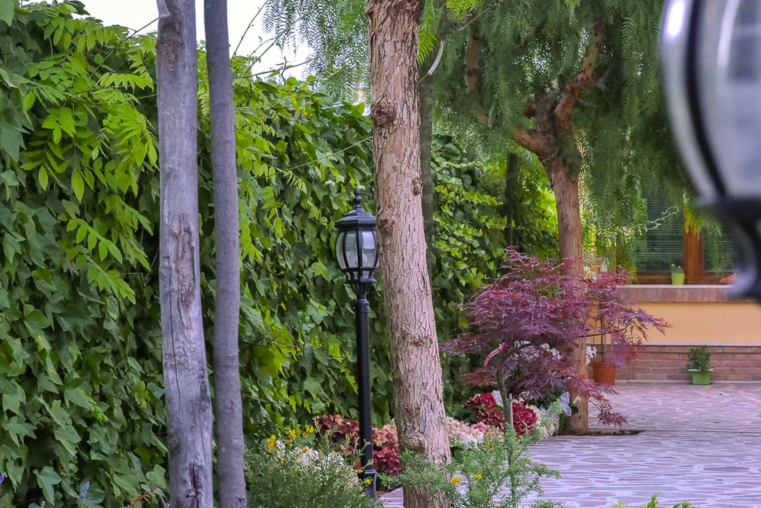 フィウミチーノ A Casa Di Titty Bed & Breakfast エクステリア 写真